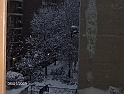 nevicata del pomeriggio (2)